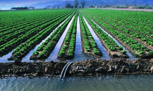 Егіс алқаптарына 8 млрд текше метрден астам су жіберілген