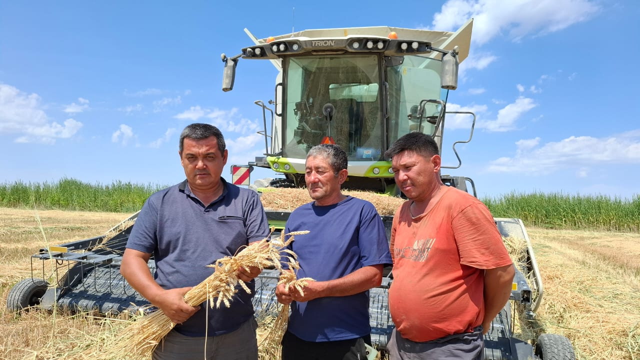 Даланы дүбірге бөледі