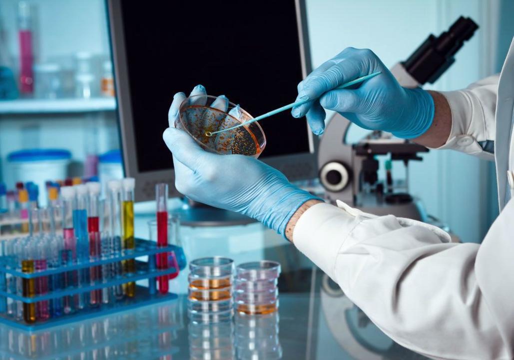 Елімізде аграрлық технопарк құру жобасы қолға алынды