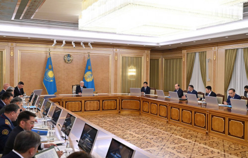 Тоқаев «Цифрлық елшілер» институтын қайта қарауды тапсырды