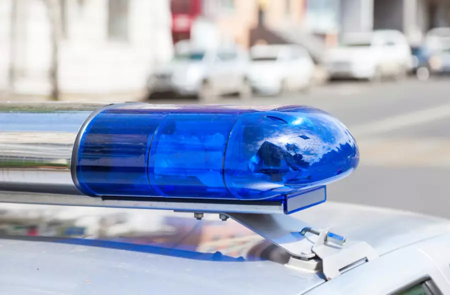 «Контрафакт» жедел іс-шарасы кезінде 272 адам ұсталды