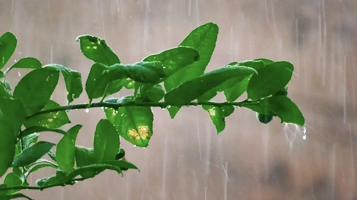 Алдағы күндері ауа райы салқындай бастайды