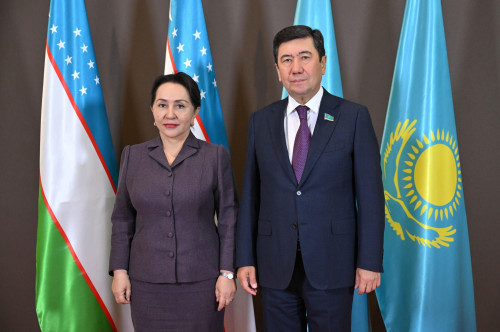 Мәжіліс спикері Өзбекстан Сенатының төрағасымен кездесті