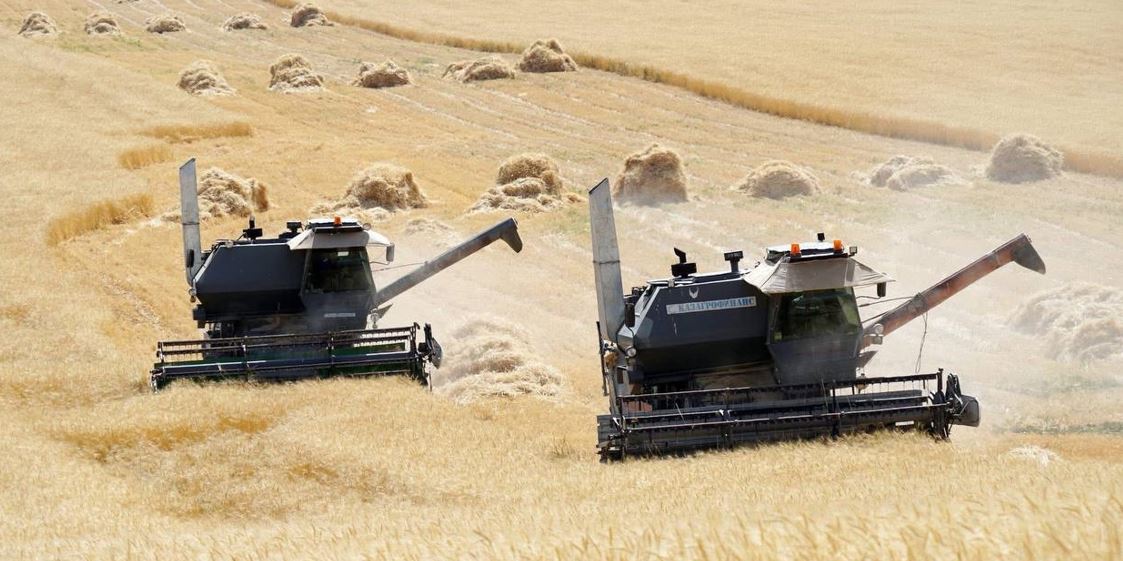 Оңтүстікте егін жинау науқаны аяқталуға жақын