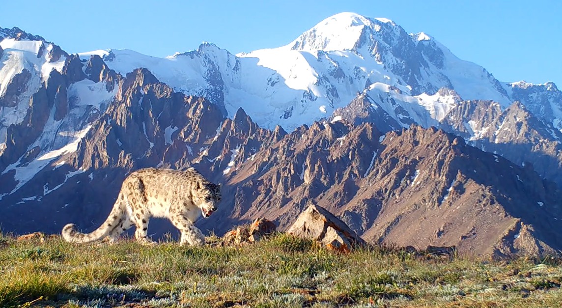 Алатаудың ажары