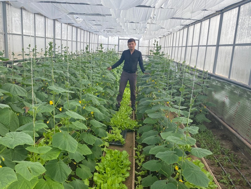 Максимнің ғажайып бағы