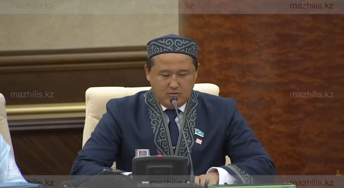 Депутат әлеуметтік қызмет көрсету жүйесіне аудит жүргізуді ұсынды