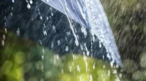 Бүгін елдің басым бөлігінде жаңбыр жауады