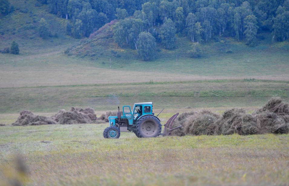 Шабындыққа шалғы түсті