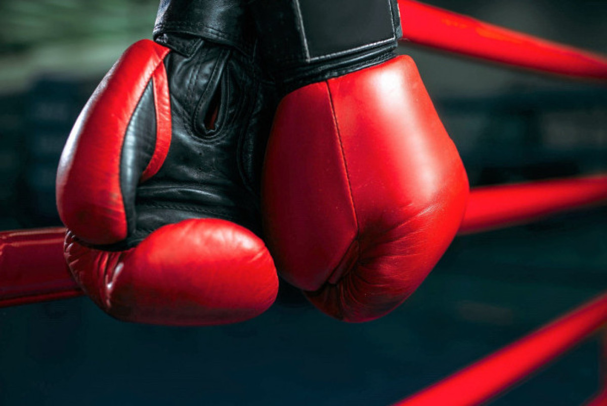 Шеберлікті дәлелдейтін чемпионат