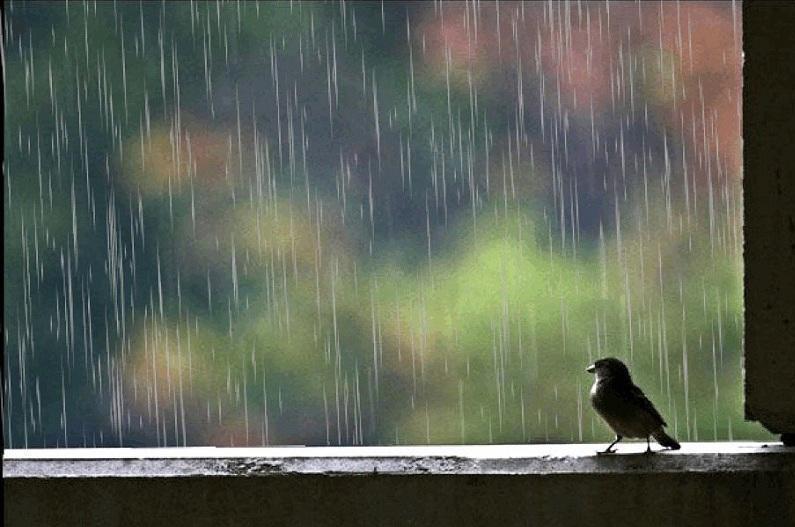 Қазақстанда алдағы күндері ауа райы қандай болады