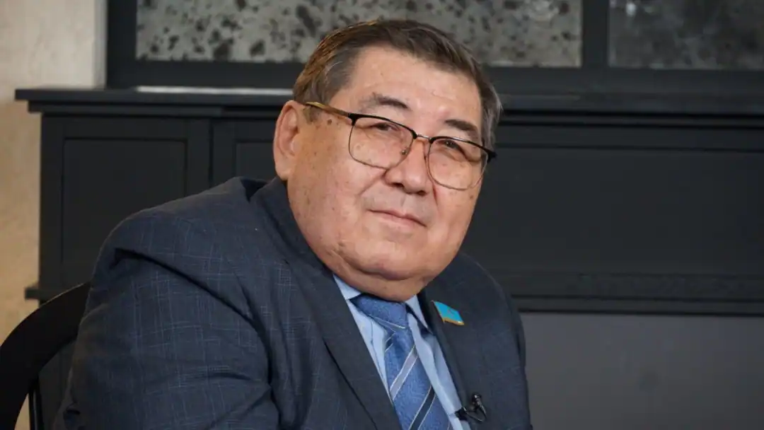 Сая­си жүйе тұрақтылығының кепілі