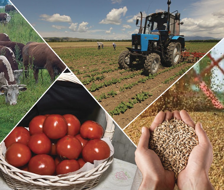 Ауыл шаруашылығы саласының жүгі салмақты