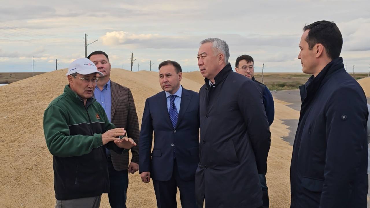 Қазақстанда асыл тұқымды мал шаруашылығын дамытуға арналған «Игілік» бағдарламасы іске қосылады