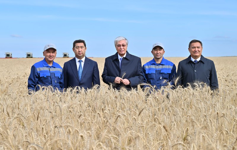 Мемлекет басшысы Ақмола облысындағы егін жинау науқанымен танысты