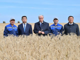 Мемлекет басшысы Ақмола облысындағы егін жинау науқанымен танысты