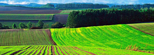 Мемлекет жерлерді қайта айналымға енгізе бастады