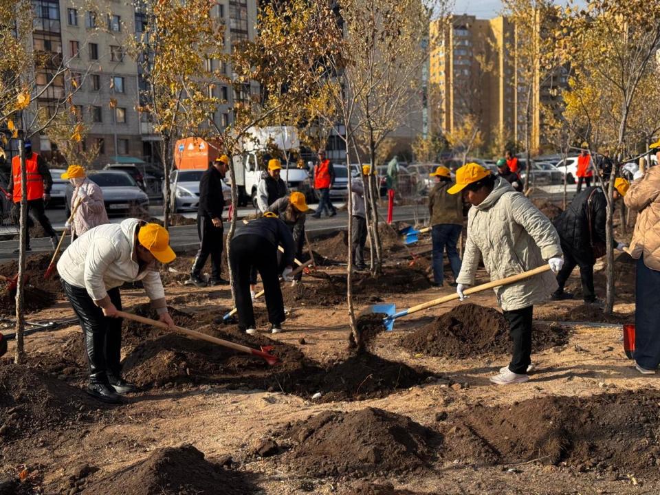 Астанада жалпықалалық ауқымды сенбілік басталды