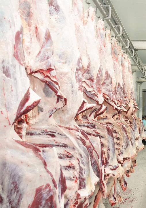 АШМ: Сиыр еті бағасы өзіндік құн мен ет сапасына байланысты қалыптасады