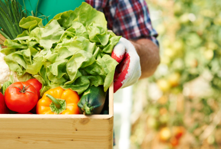 Ауыл шаруашылығы өнімдерінің бағасы қатаң бақылауда болады