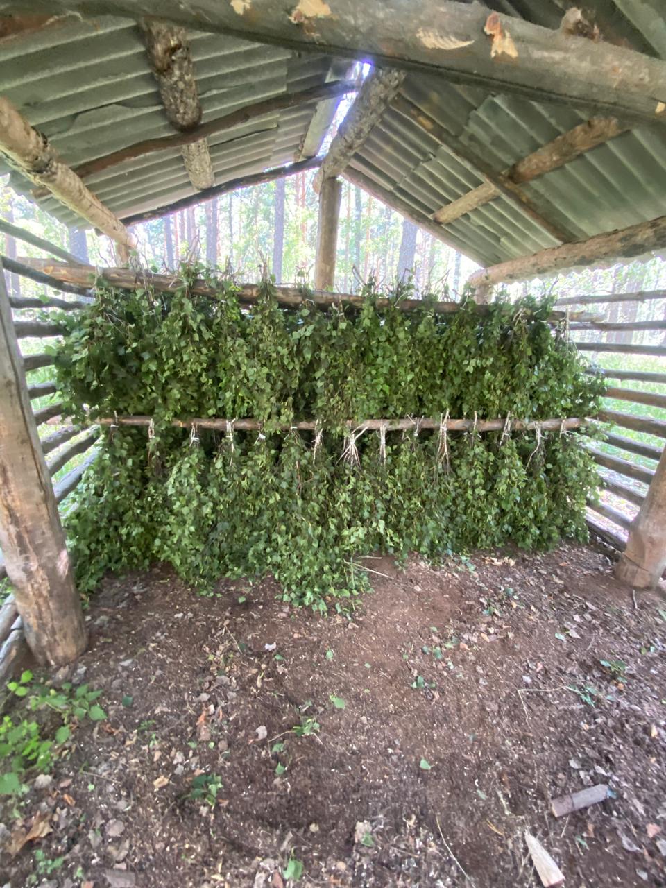 Аң-құсқа абай болайық