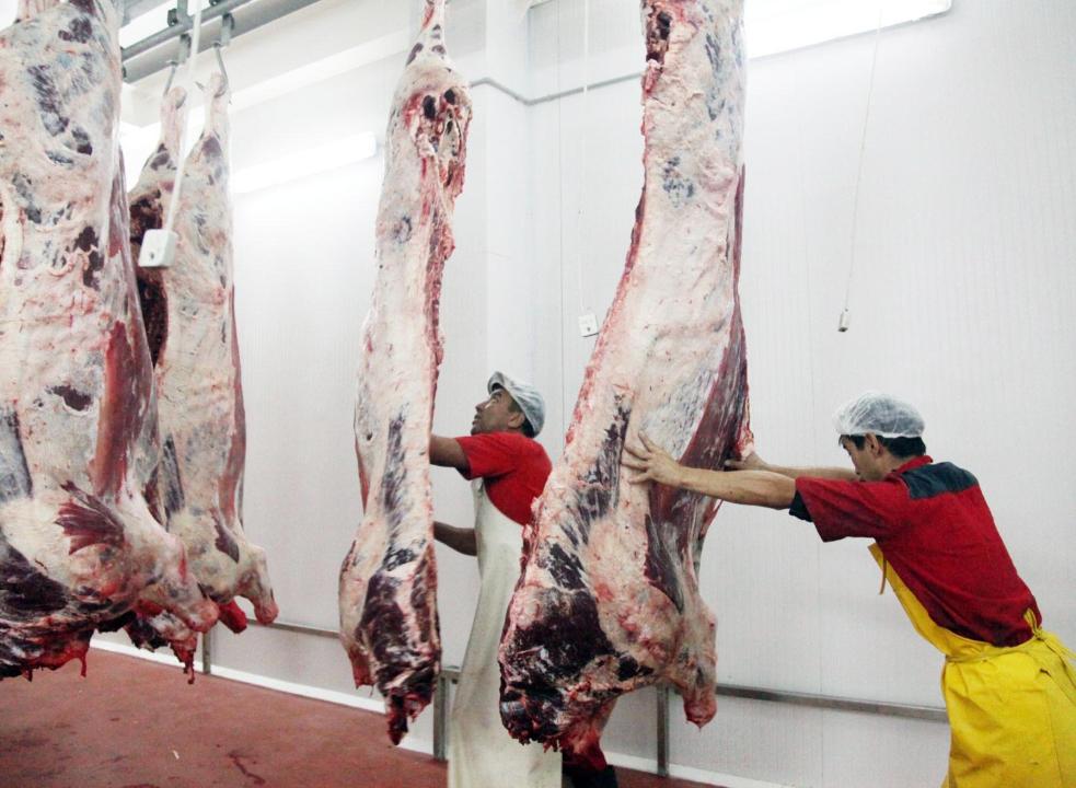 Сегіз елге ет экспортталған