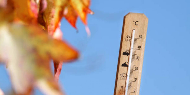 Елімізде +25 градусқа дейін күн жылиды