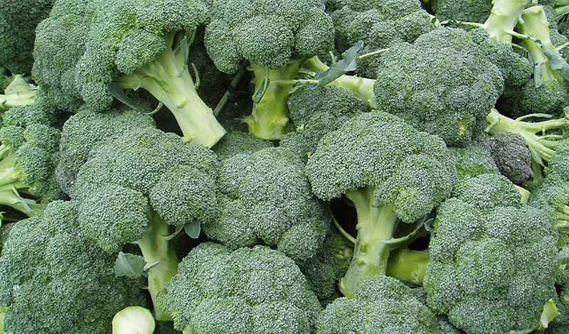 Атырауда өсірілген брокколи