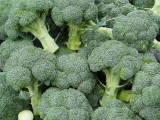 Атырауда өсірілген брокколи