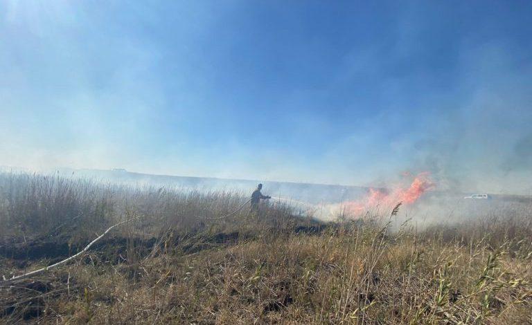 Атырау облысында 30 гектарда қамыс қопасы бықсып жатыр