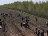 Өңірлерде күзгі ағаш отырғызу жұмыстары басталды