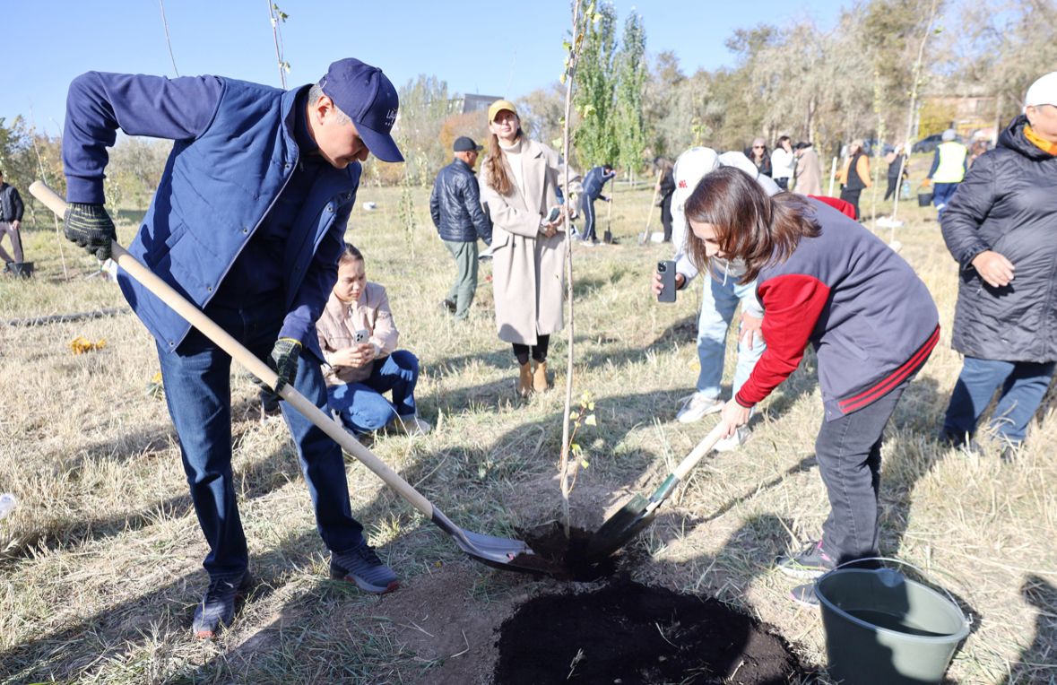 Ұлытау облысында 3000-нан аса көшет отырғызылды