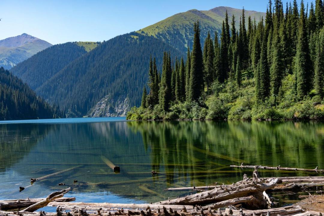 Экология ведомствосы П.Дуровқа қатысты мәлімдеме жасады