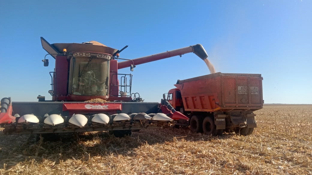 Мәртөк ауданында жиын-терім аяқталды