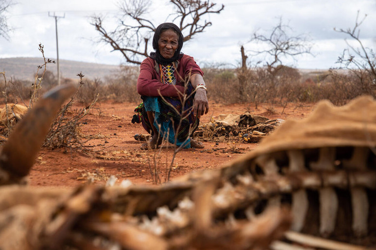 Әлемде аштық қаупі күшейді