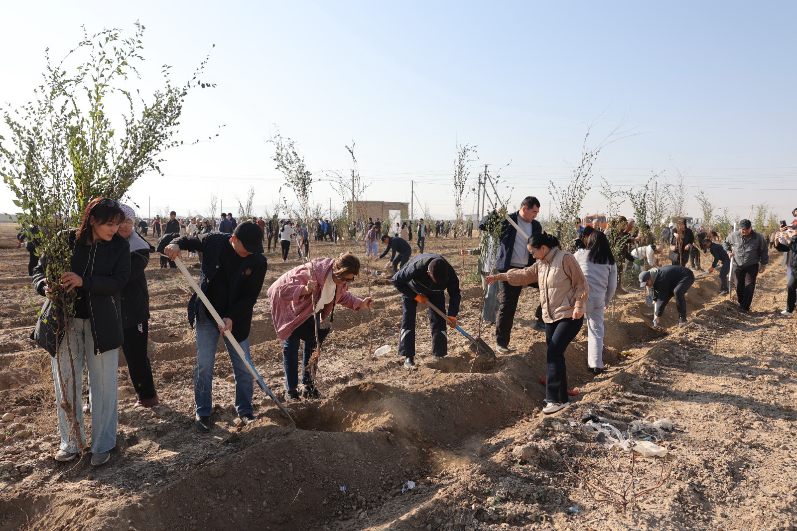Көне Тараз көркейіп келеді