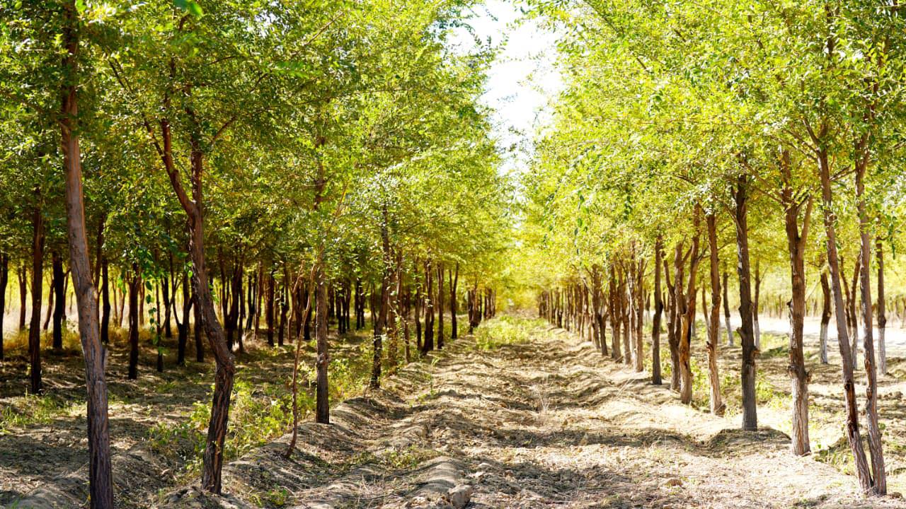 Қазан айында Қазақстан халқы қанша күн демалады?