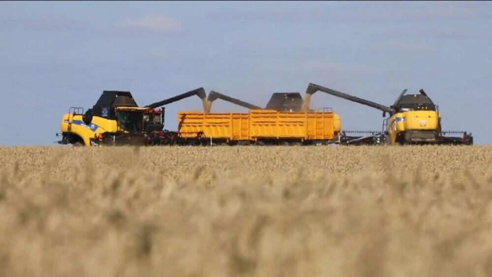 Жиын-терім жалғасып жатыр