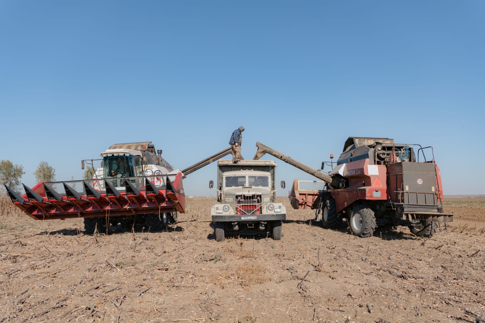 Қаржылай қолдау тапқан қожалықтар