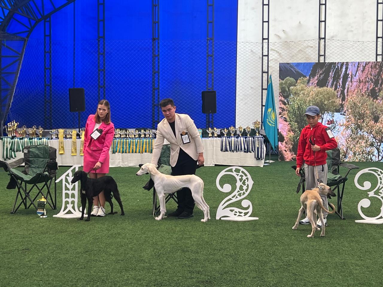 Қазақы тазының тұқымын жандындыру мақсатында көрме өтті