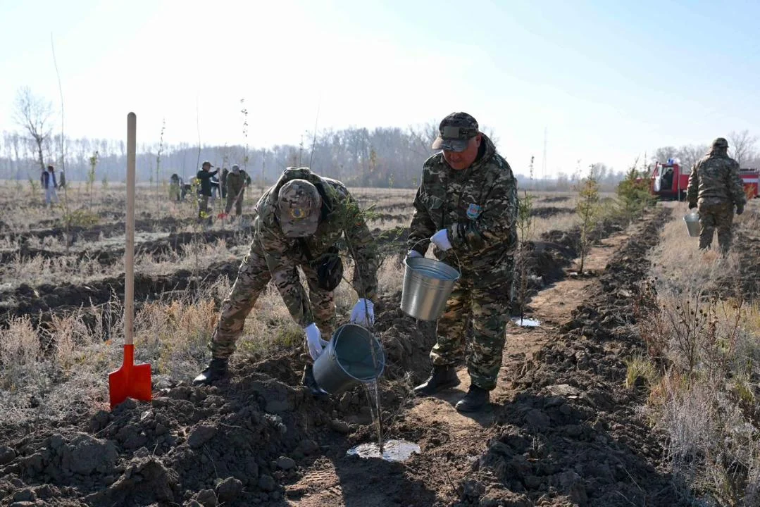 Семейде орман тұқымбағы ашылды