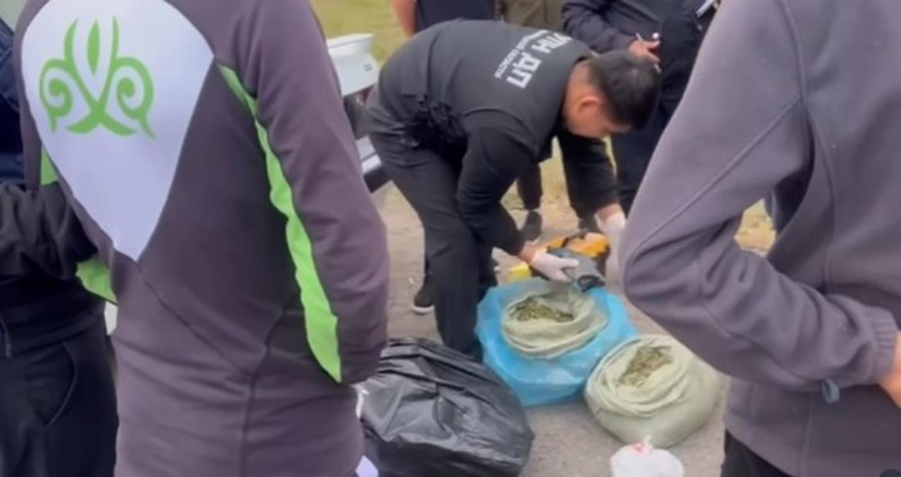 Марихуана тасымалғандар ұсталды