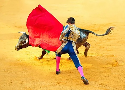 Коррида құпиясы