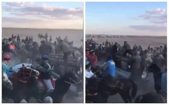 Қызылордада көкпар кезінде көлік жылқыларды қағып кетті