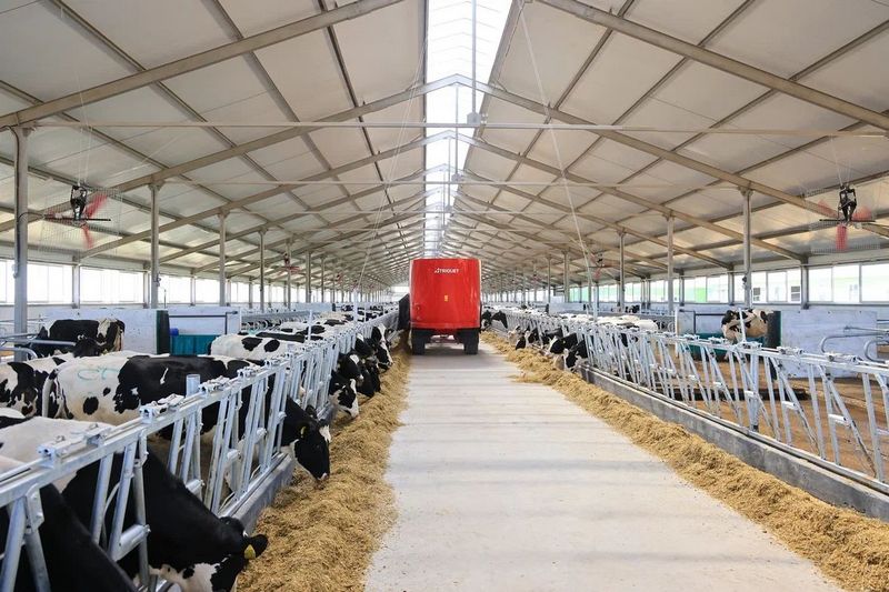 Қарағанды облысында азық-түлік бағасы қалай тұрақтандырылмақ?