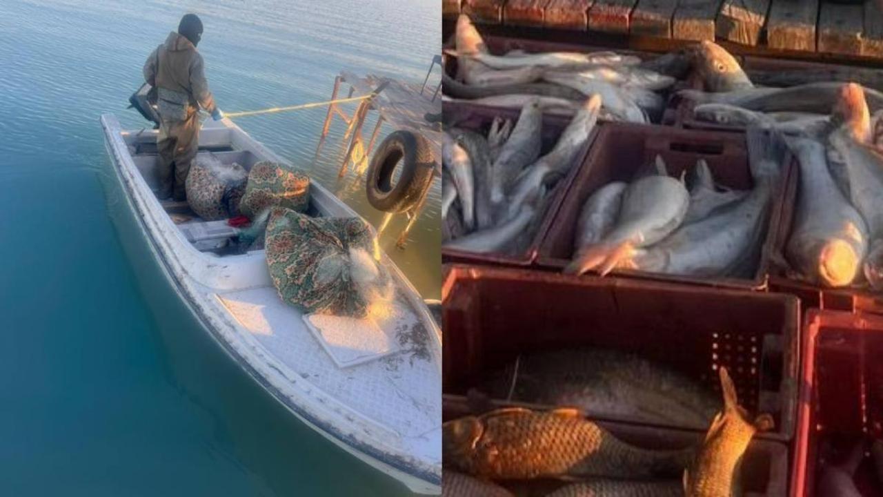 Балқаш көлінде браконьерлер қолға түсті