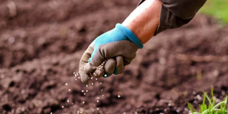 Қостанайда 16 жер учаскесі мемлекетке қайтарылды