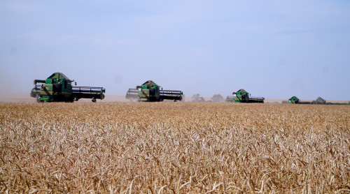 Астық жинау көрсеткіші бойынша Ақмола облысы көш бастады