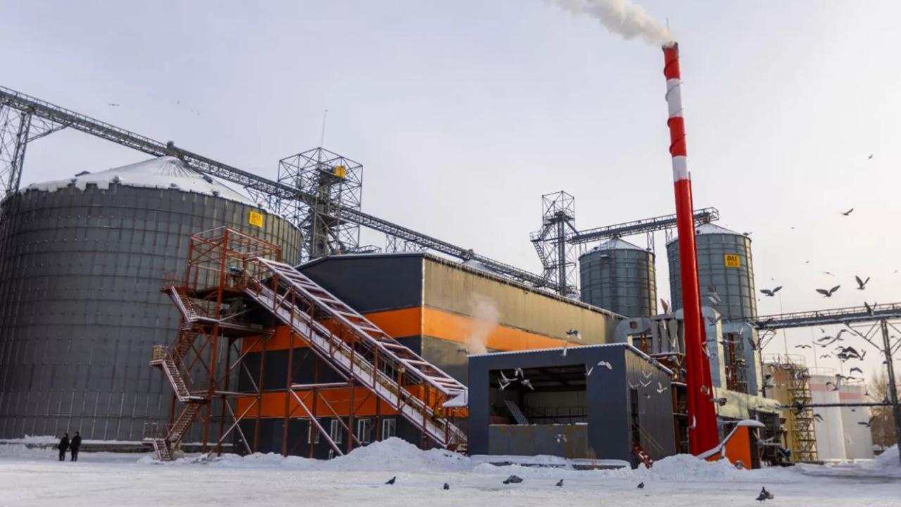 Майға тәуелділік азаяды: Шығыс Қазақстандағы жаңа зауыттың ерекшелігі неде?