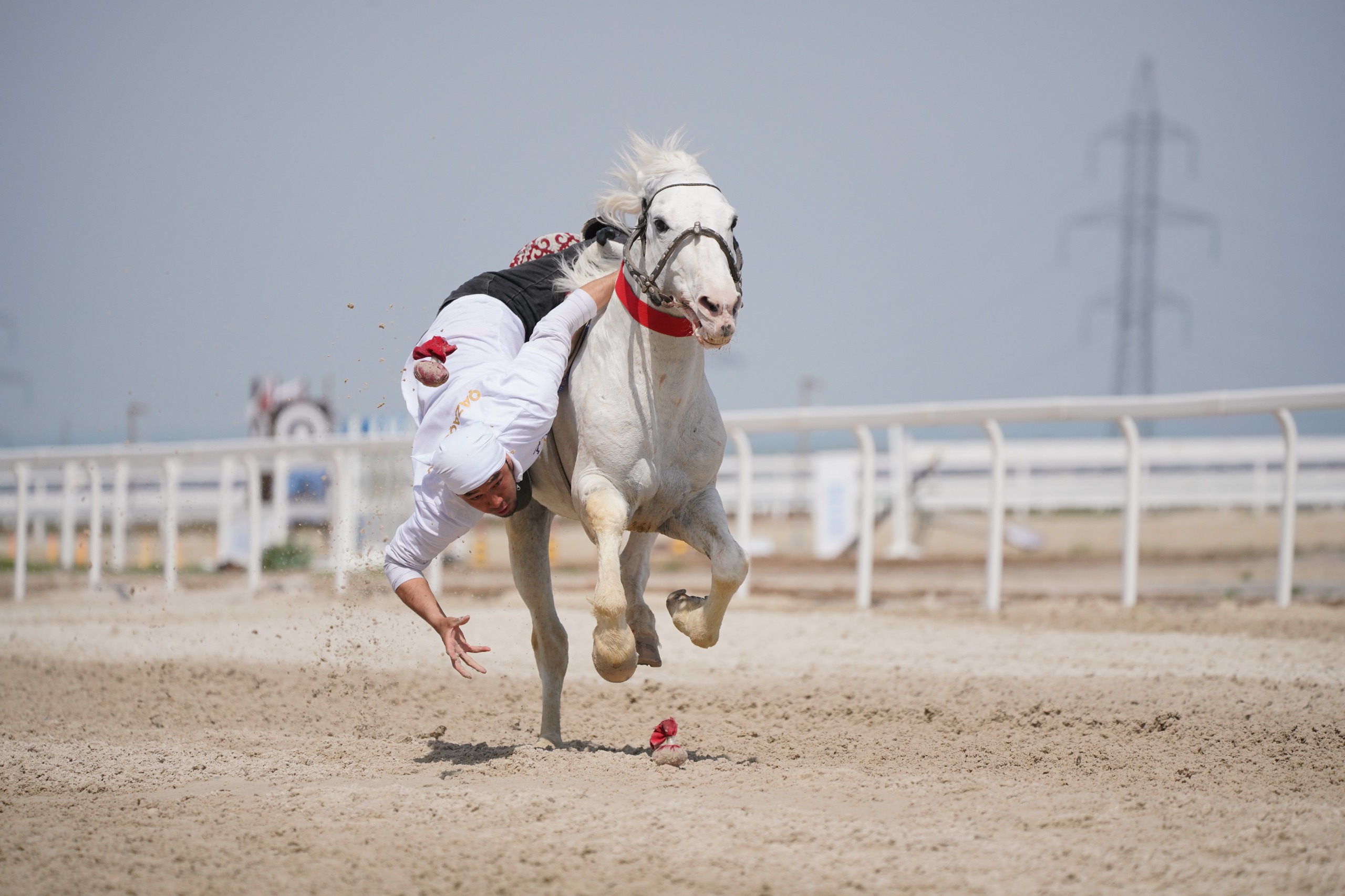 Шымкентте теңге ілуден жарыс өтті